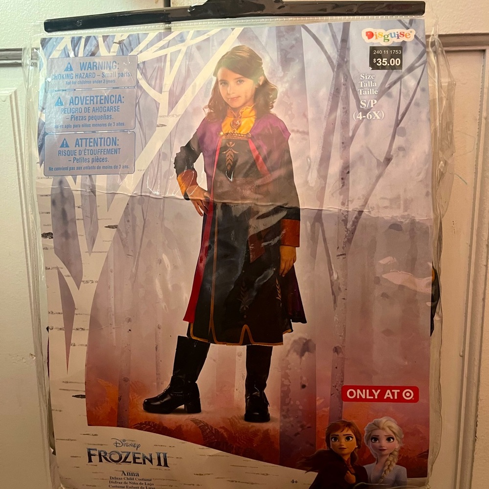 Frozen II Anna costume